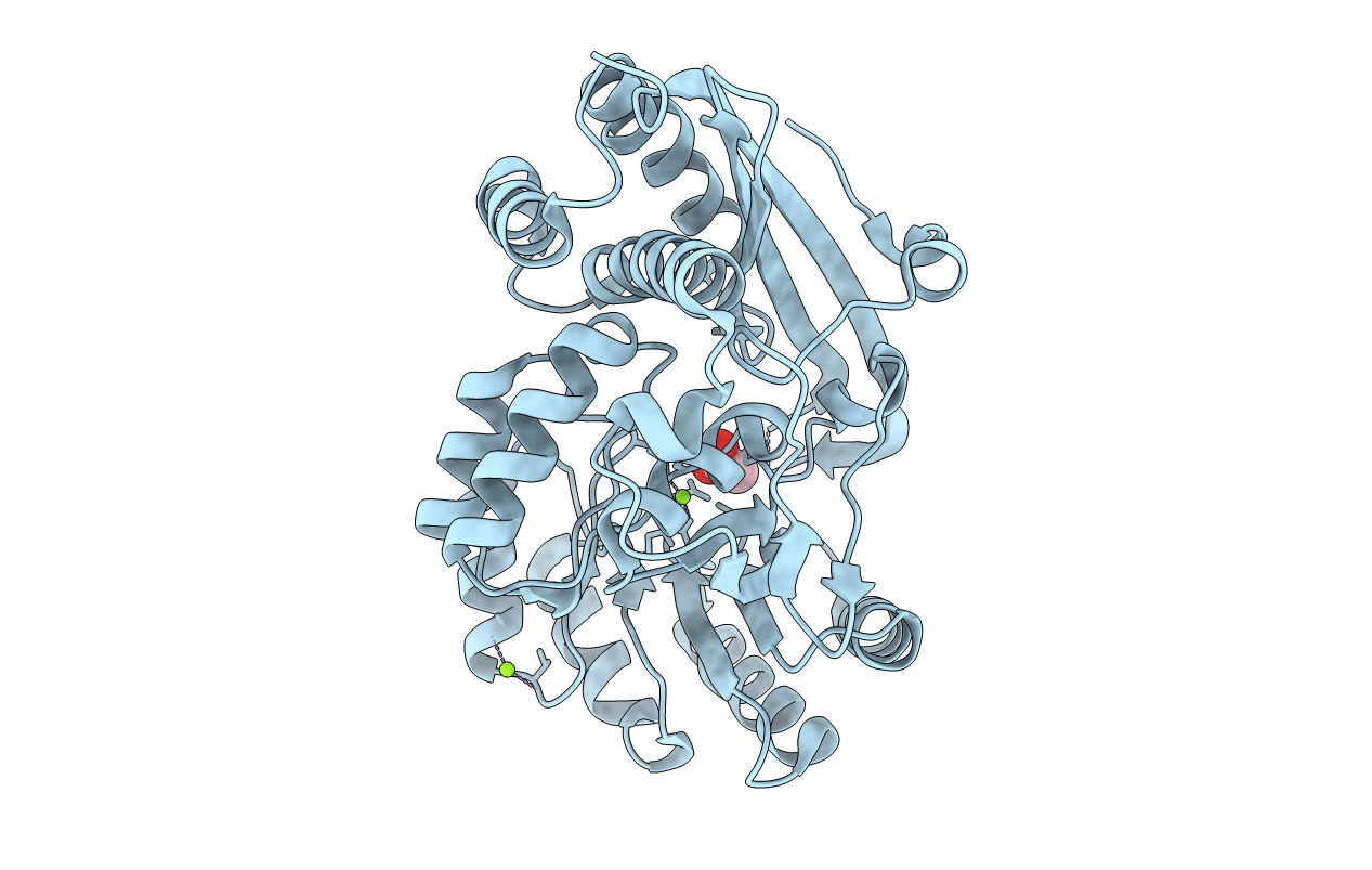 5XD7 image