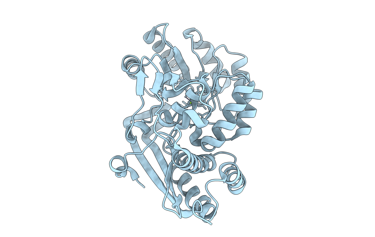 5XD9 image