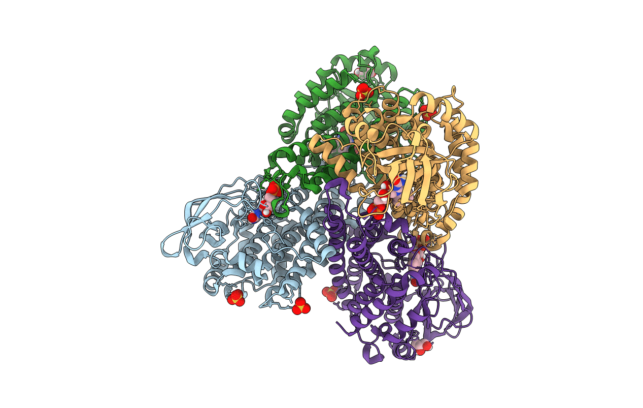 5XDB image