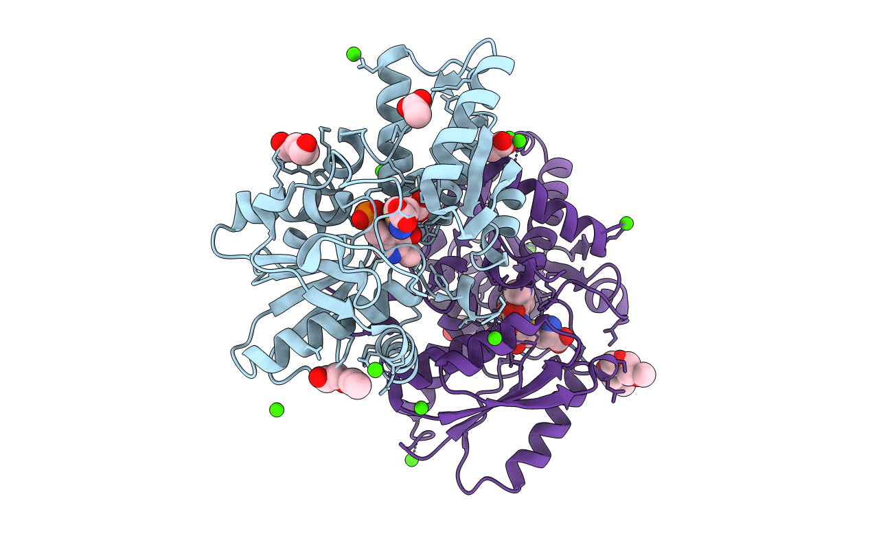5XEM image