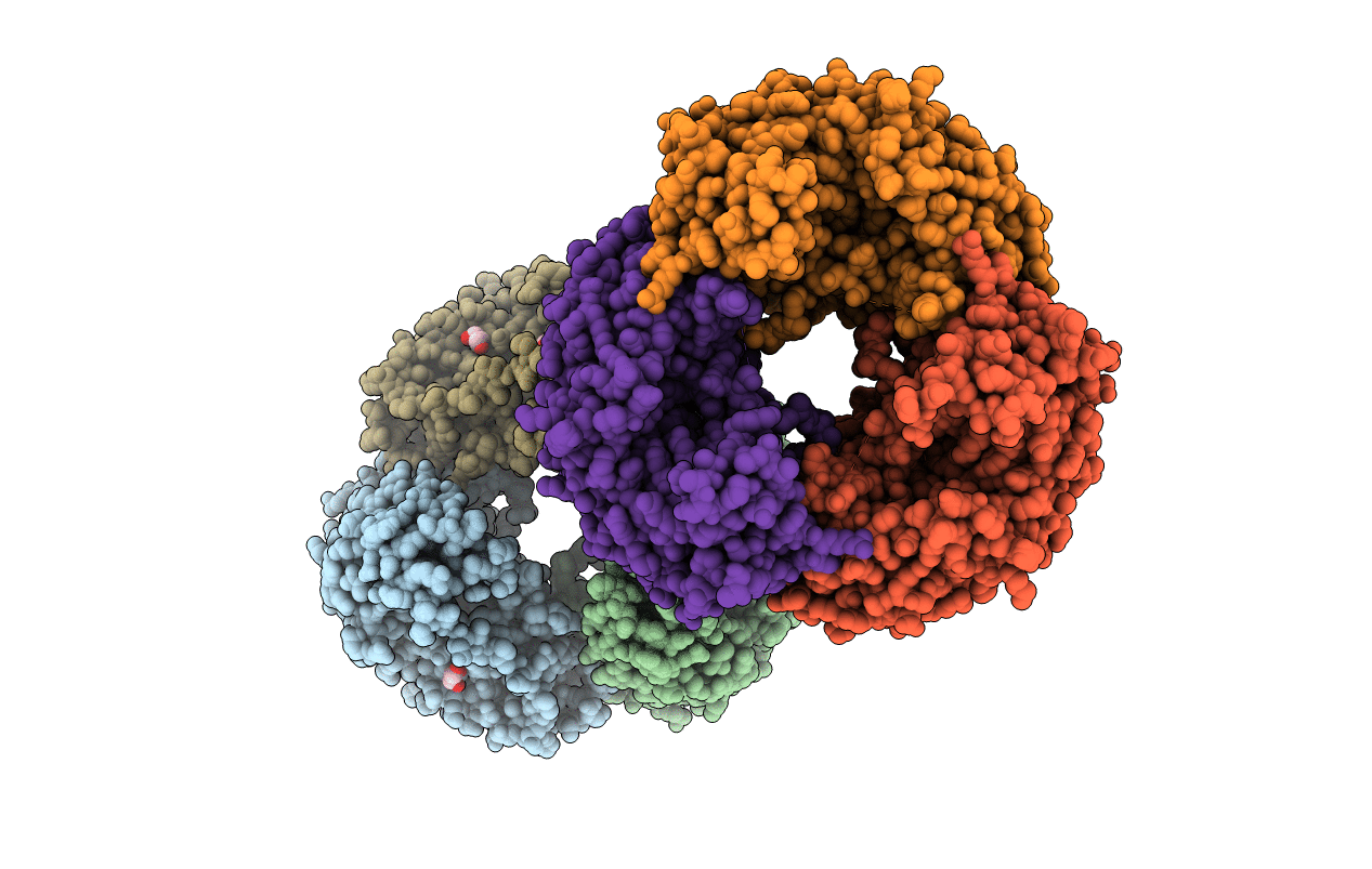 5XEX image