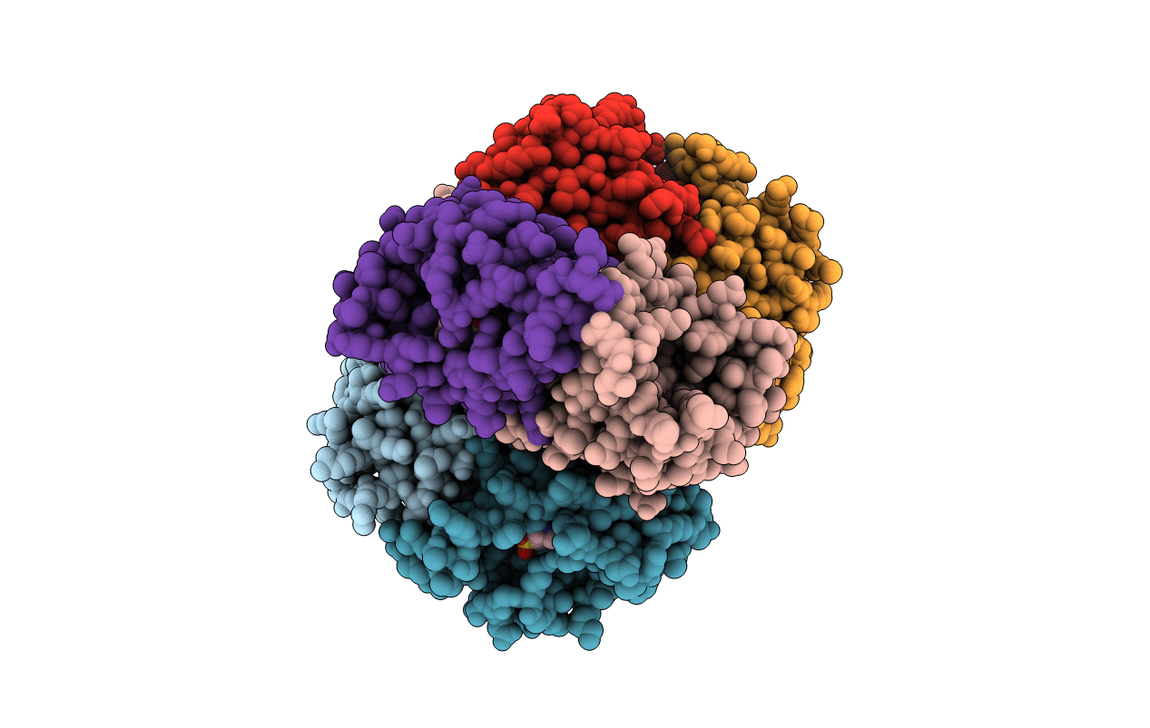 5XF2 image