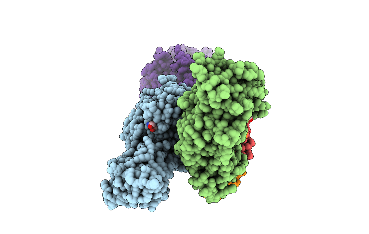 5XFP image