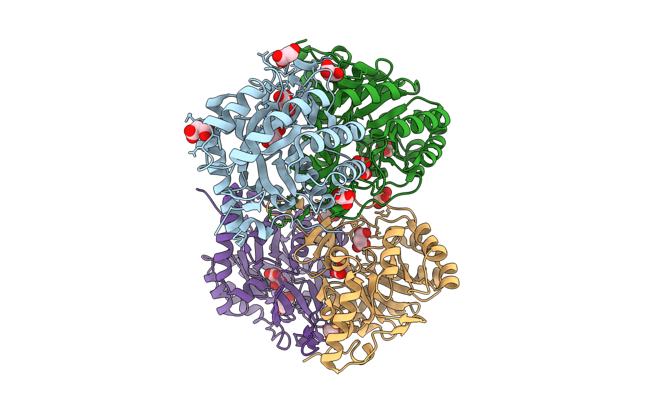5XFW image