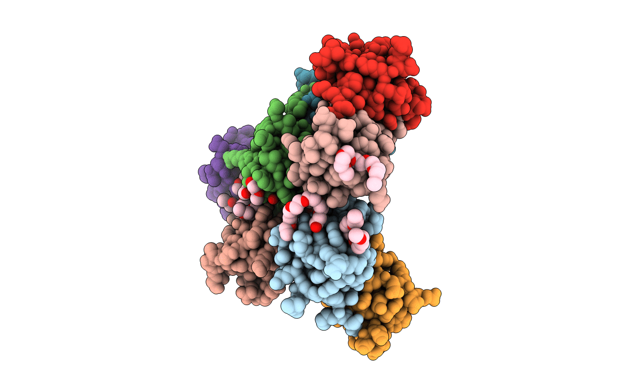 5XG9 image