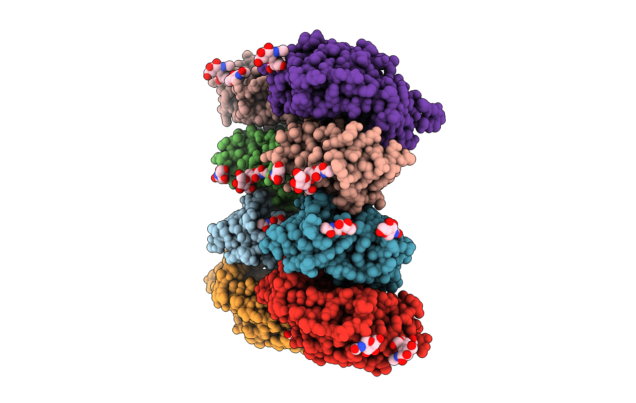 5XGR image