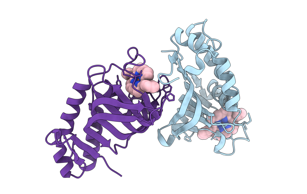 5XIB image