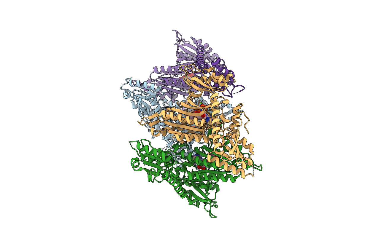 5XIG image