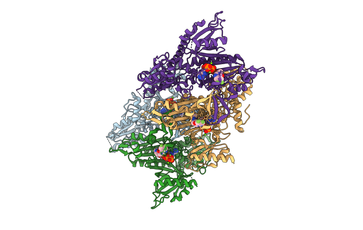5XIH image