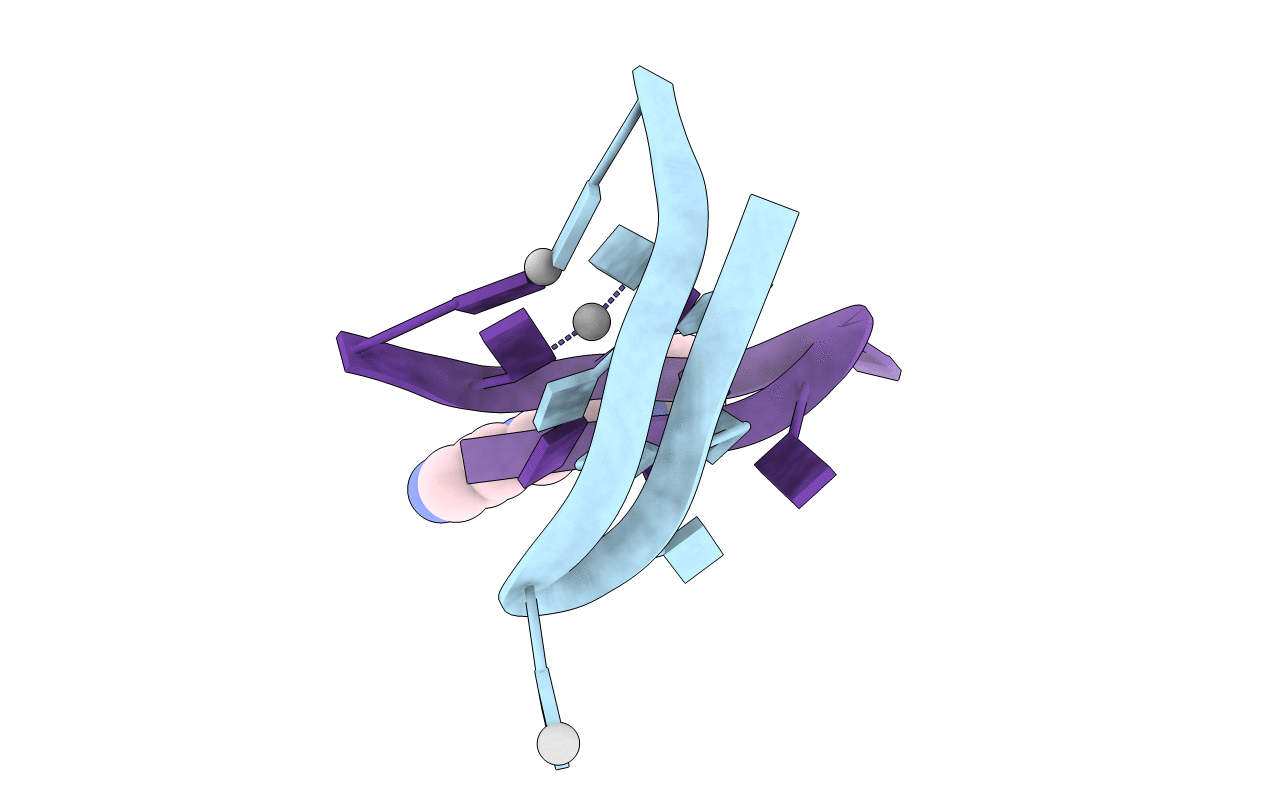5XJZ image