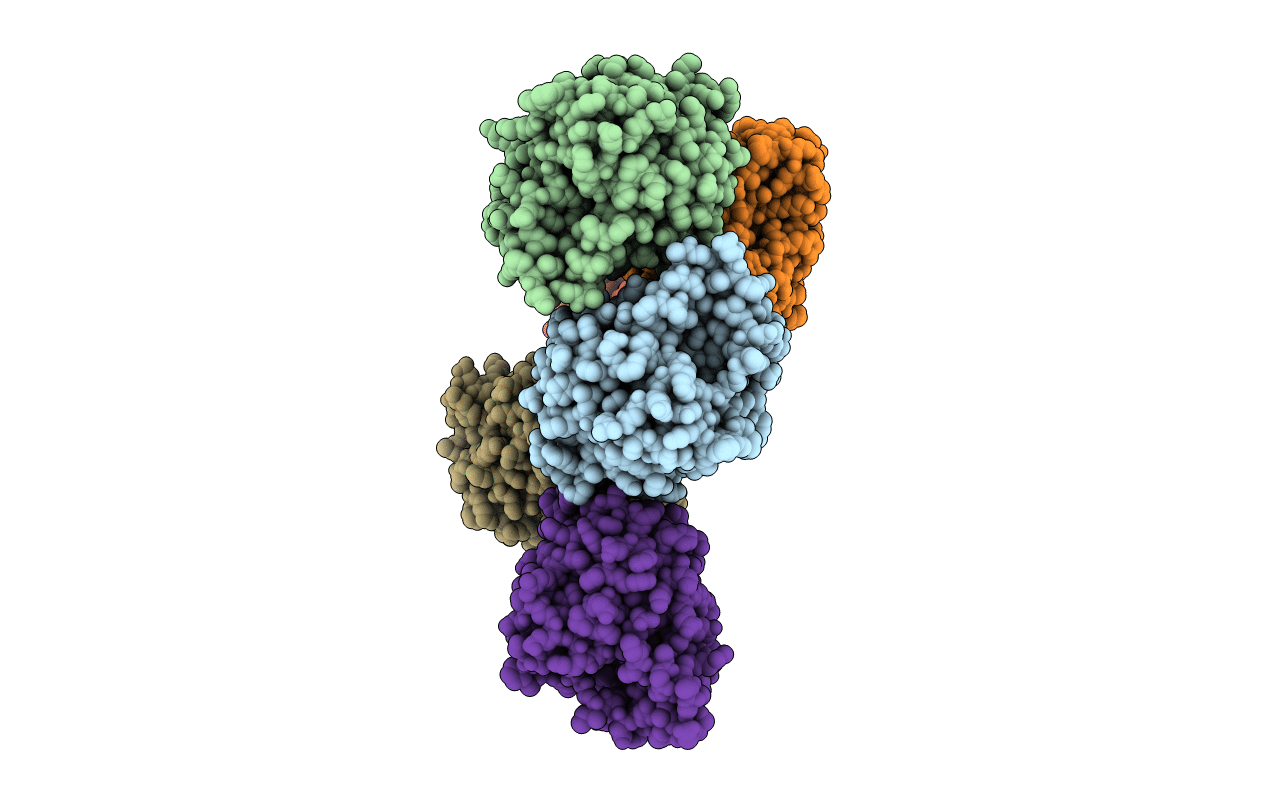 5XKS image