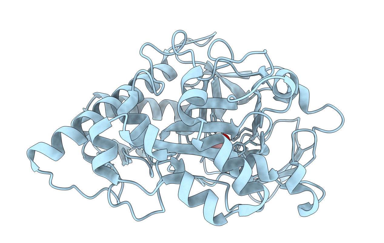 5XKX image
