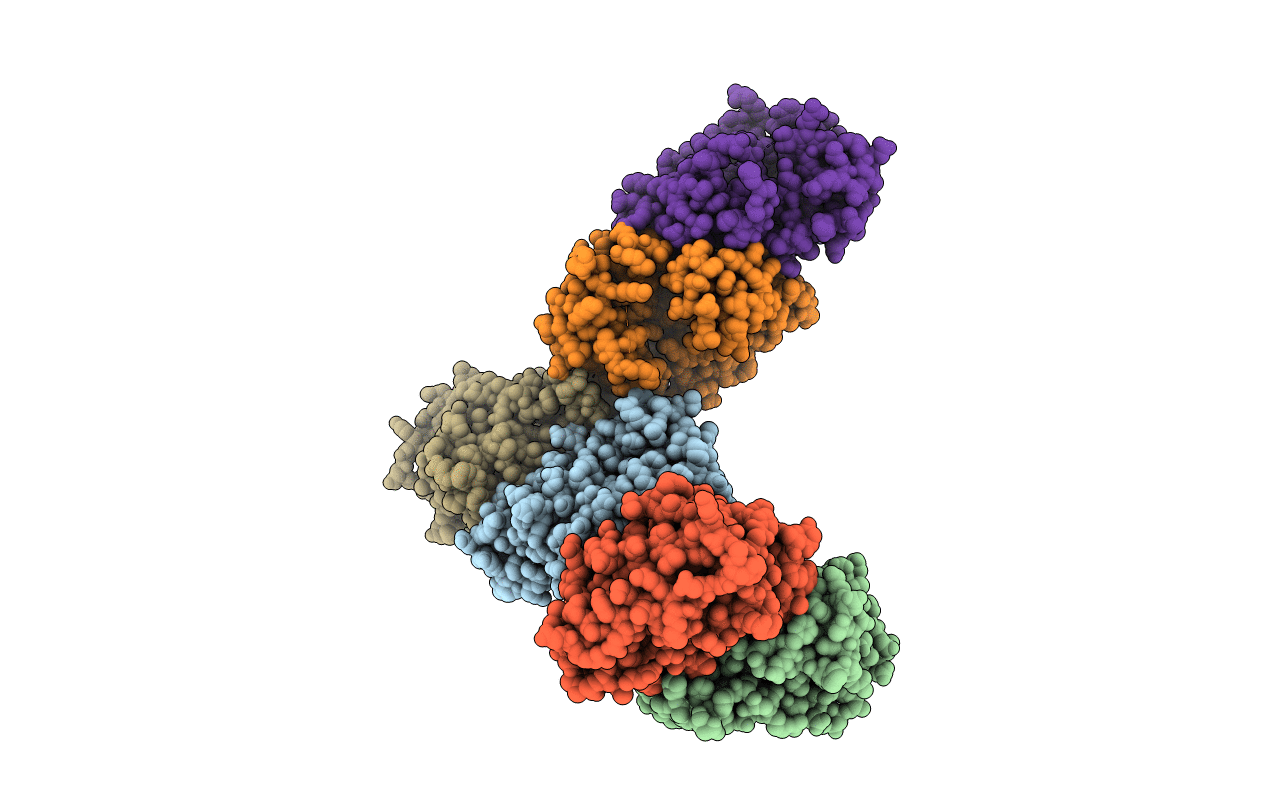 5XN6 image