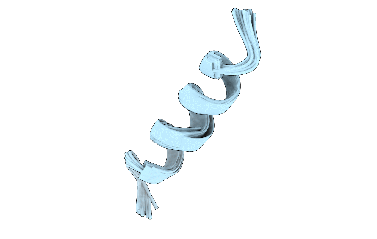 5XNG image