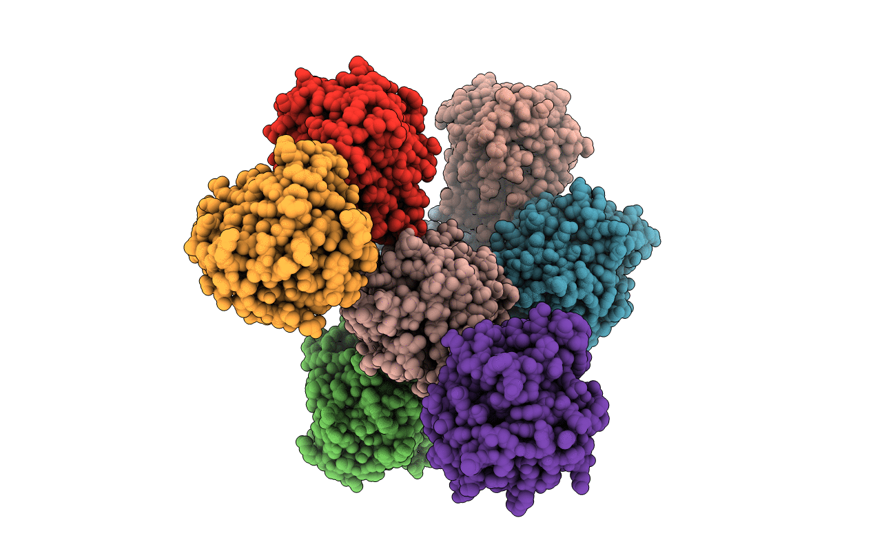 5XO6 image