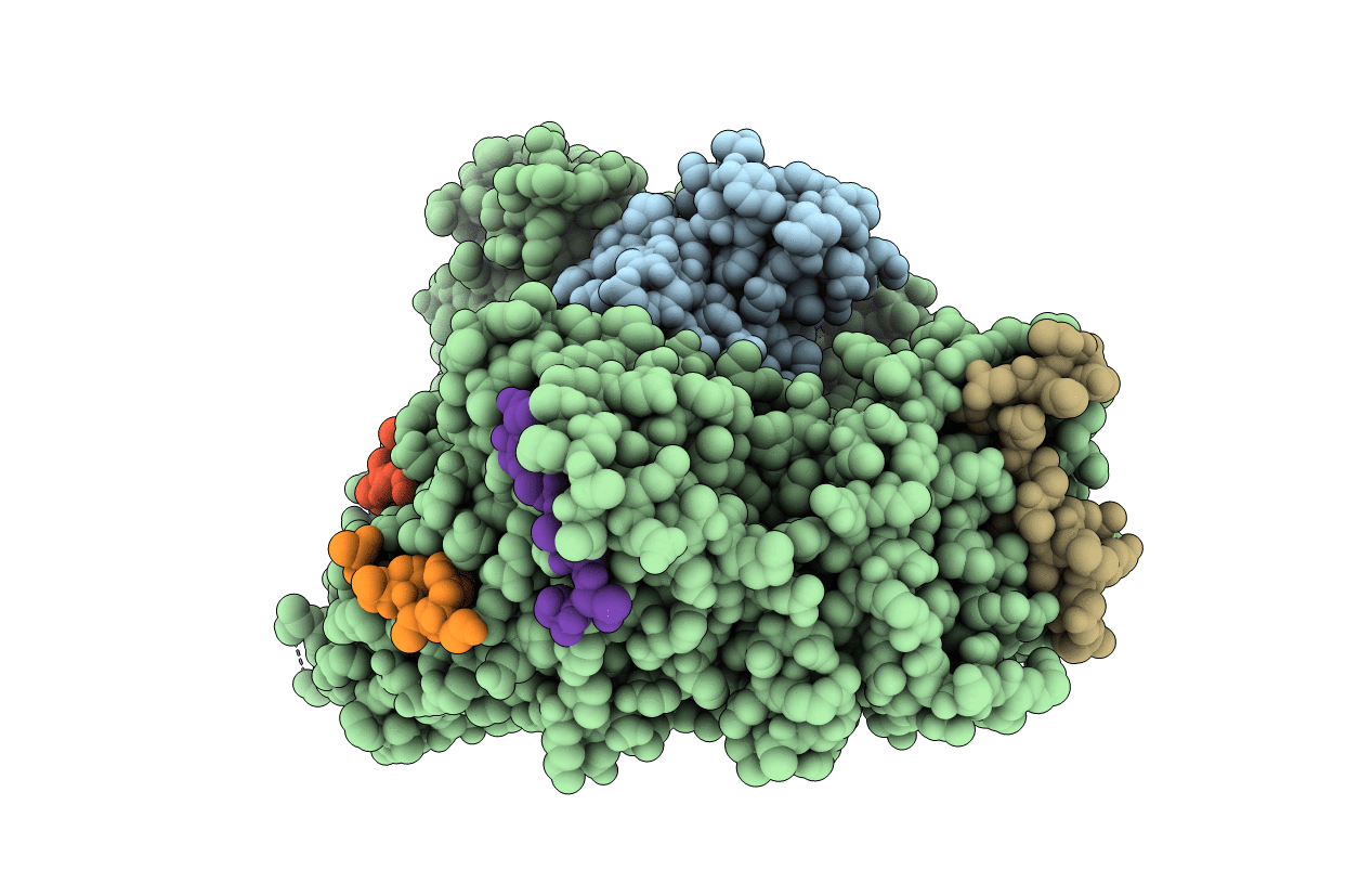 5XOJ image