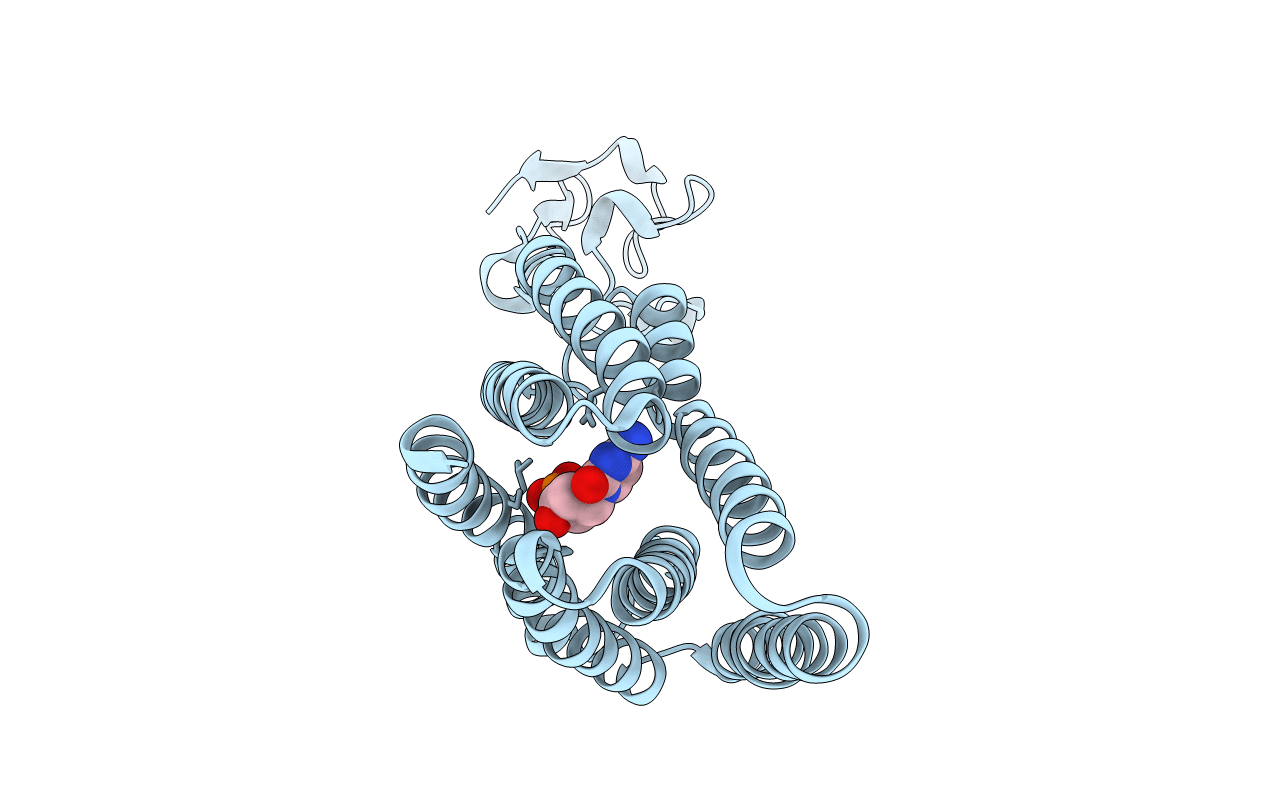 5XPD image