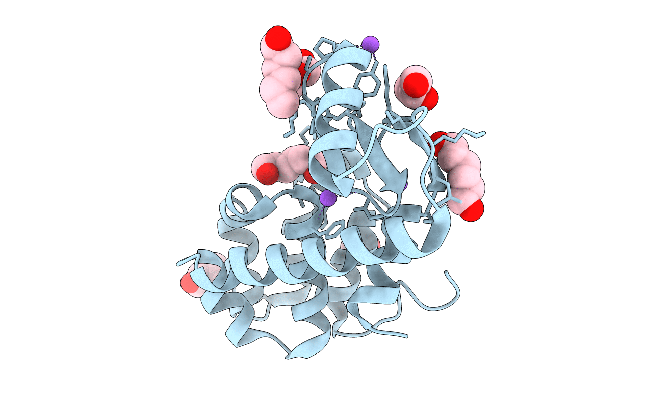 5XPF image