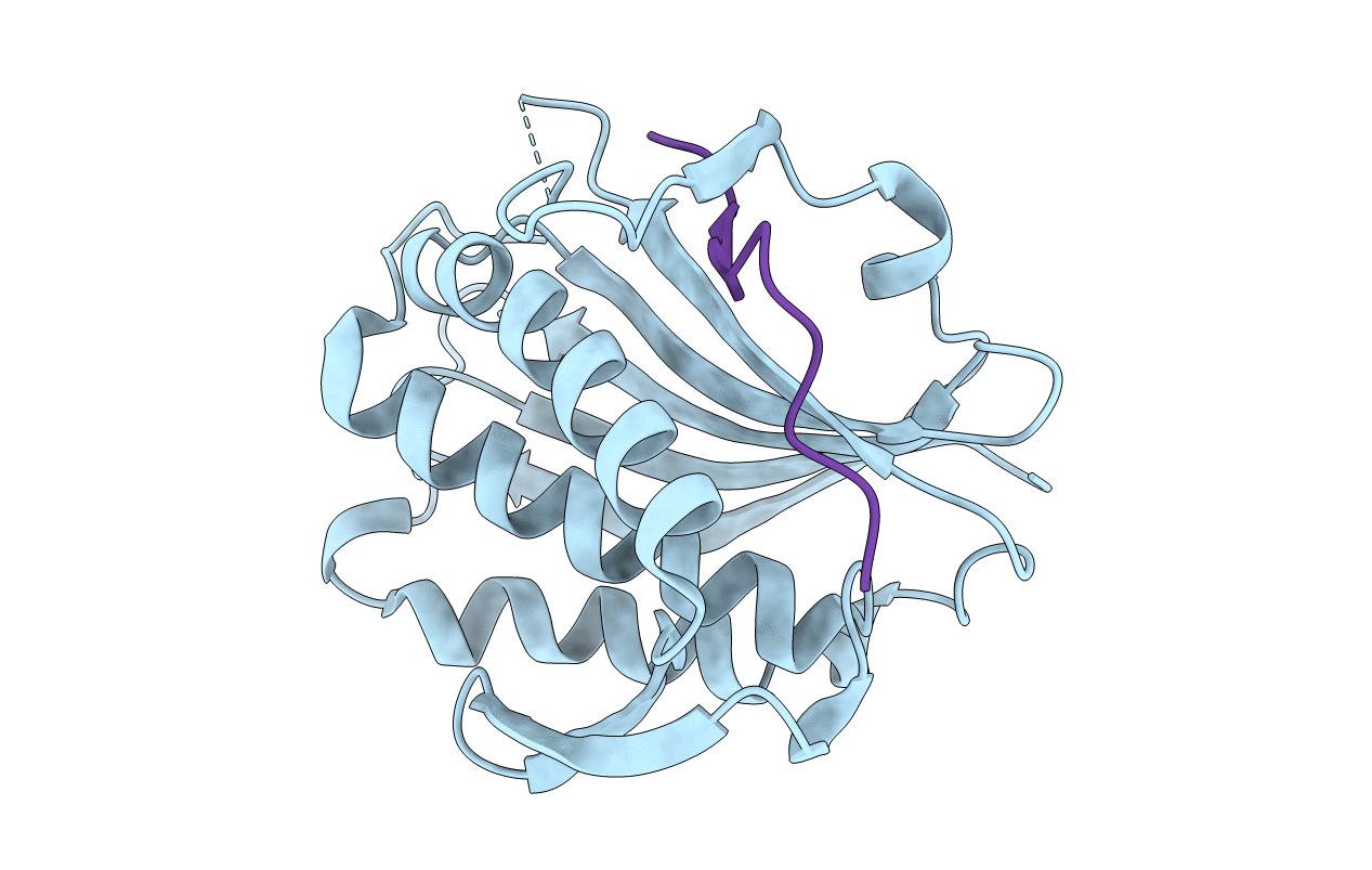 5XPT image