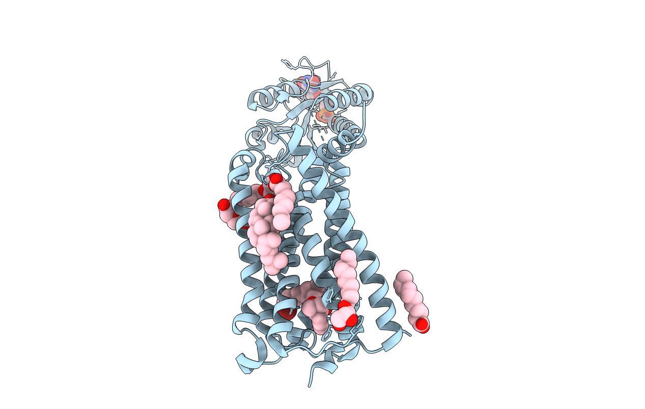 5XRA image
