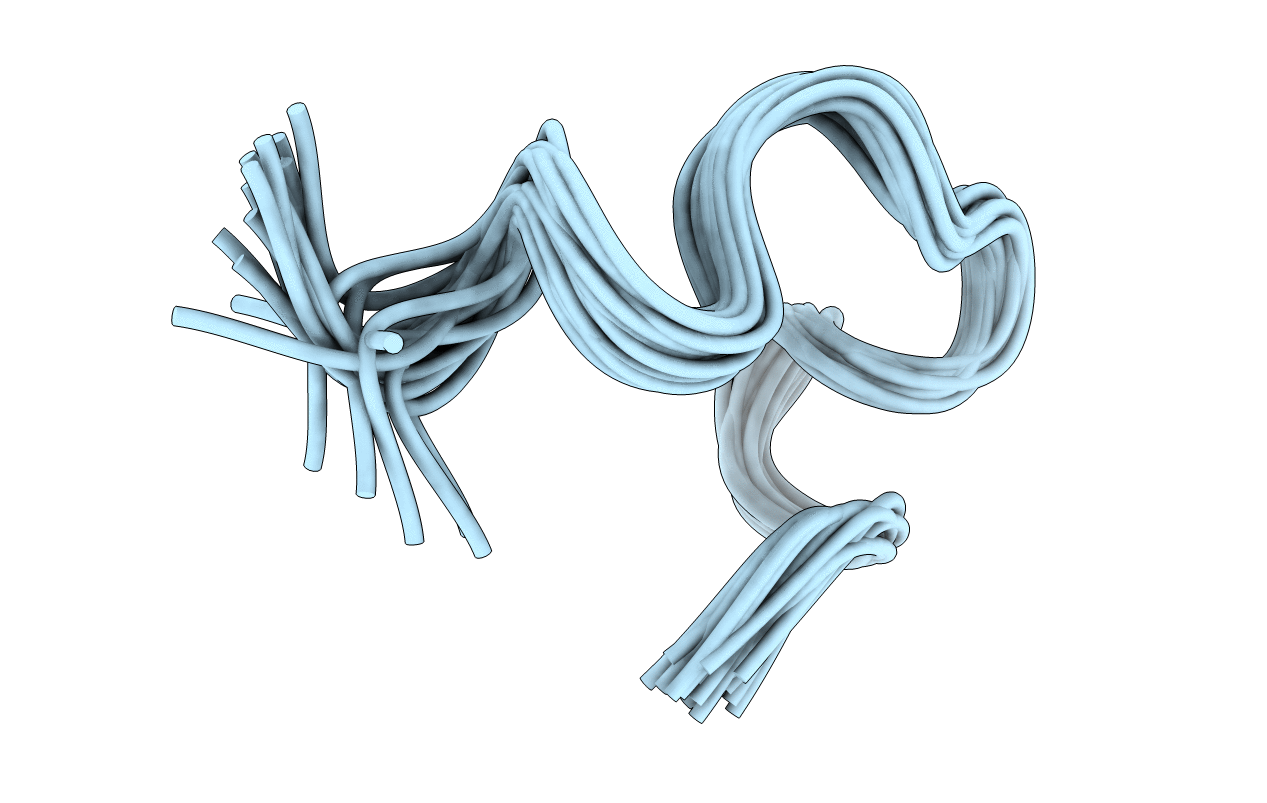 5XRX image