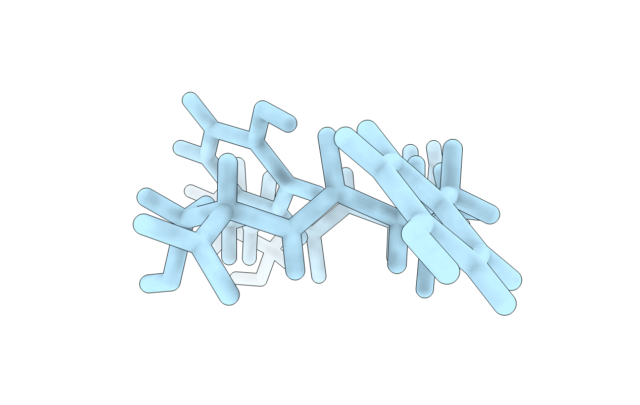 5XSG image