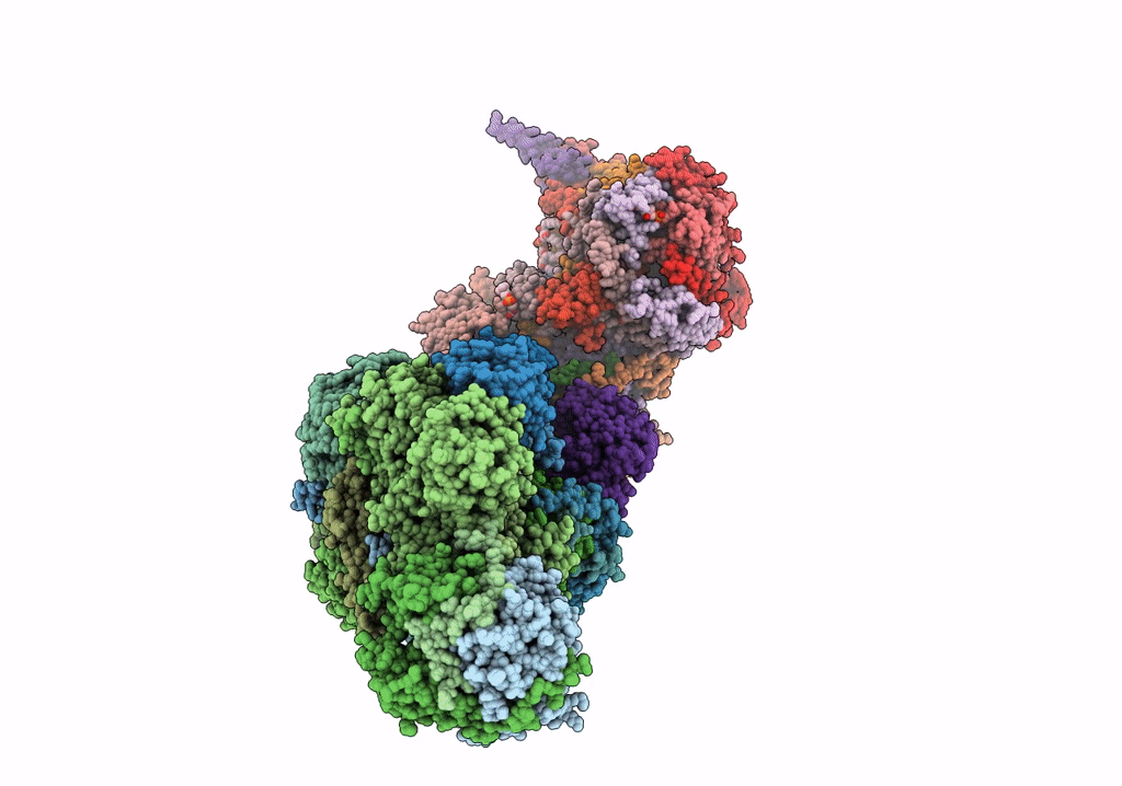 5XTD image