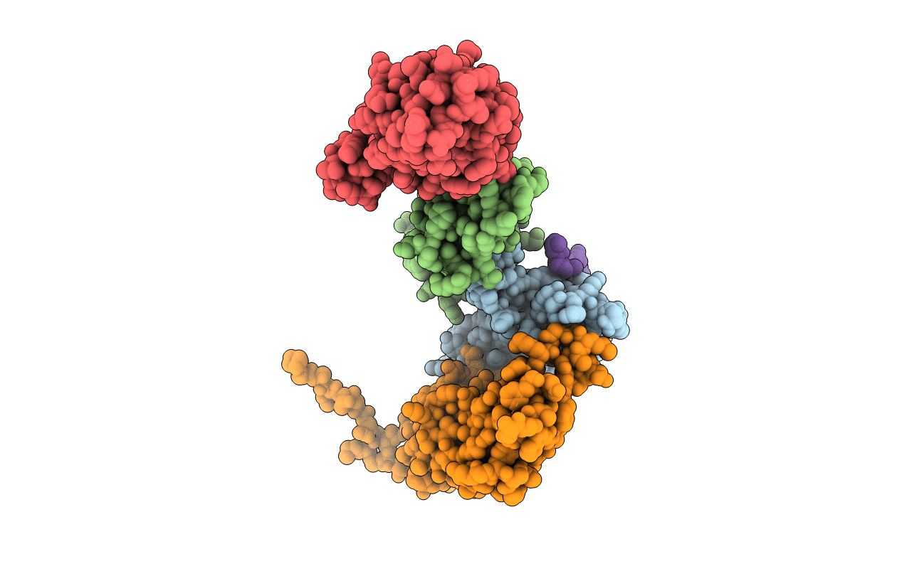 5XTZ image