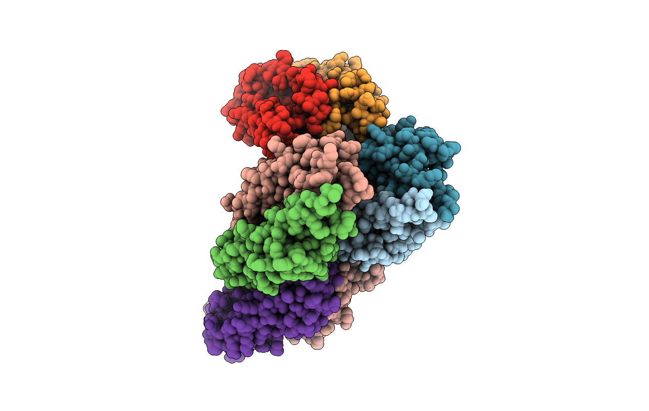 5XUA image