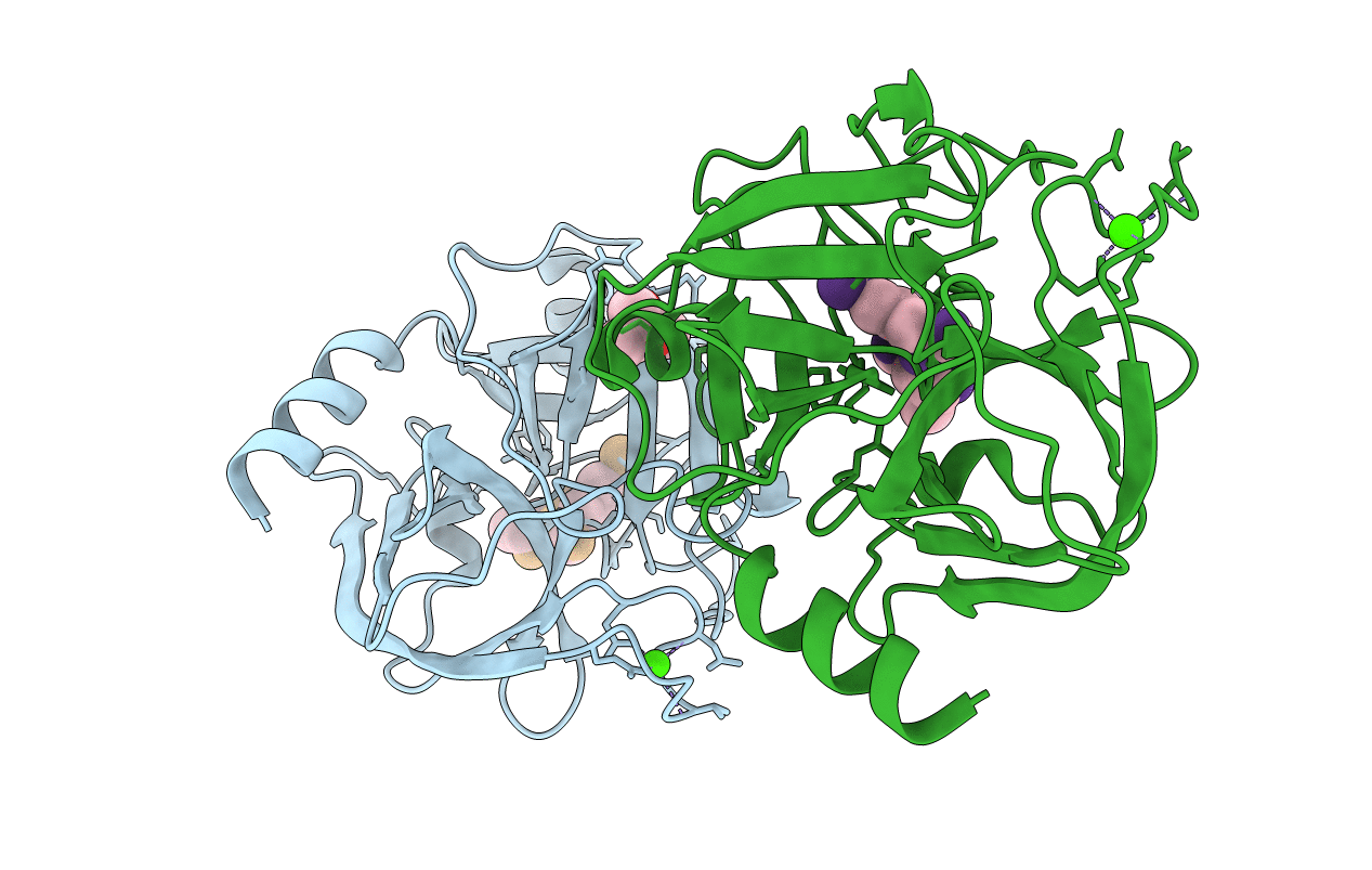5XWJ image