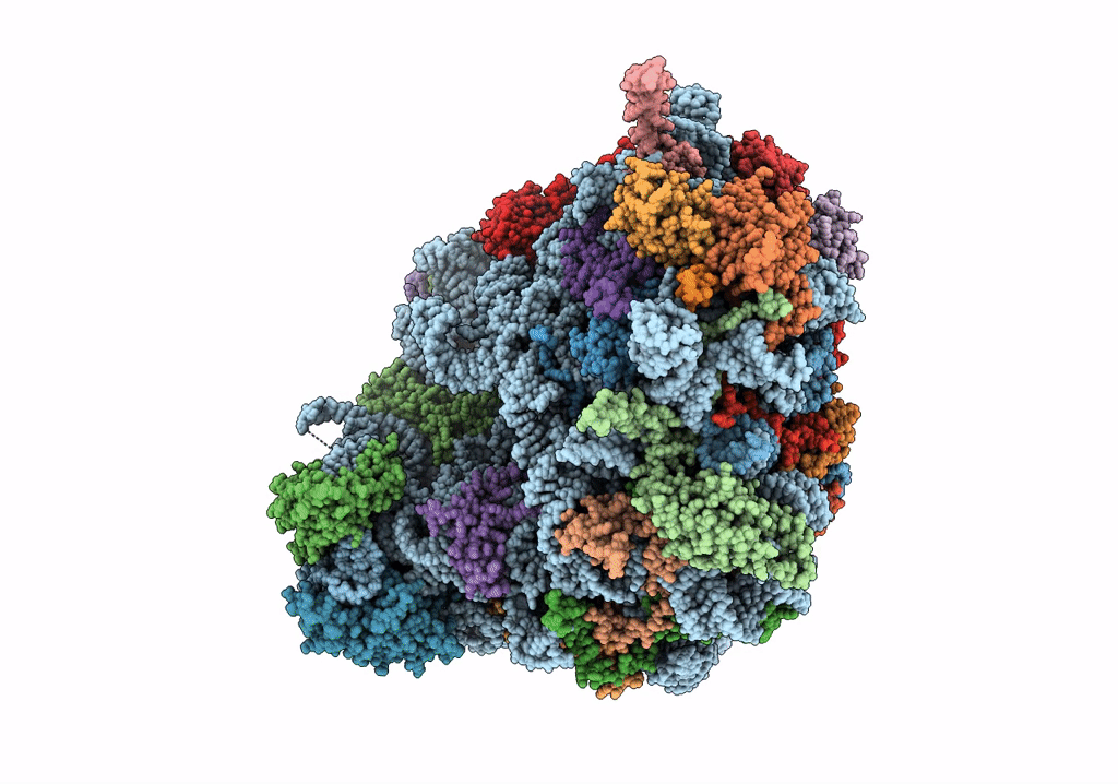 5XXB image