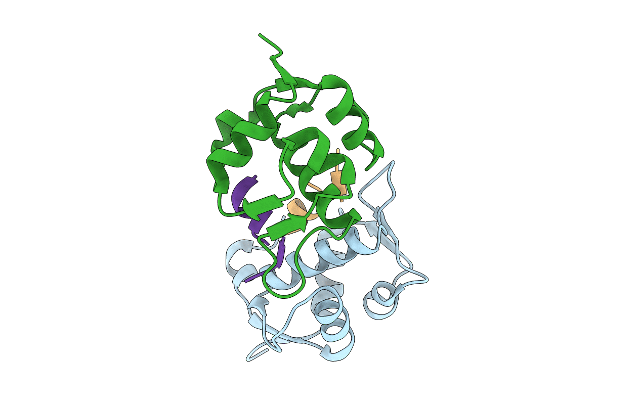 5XXK image