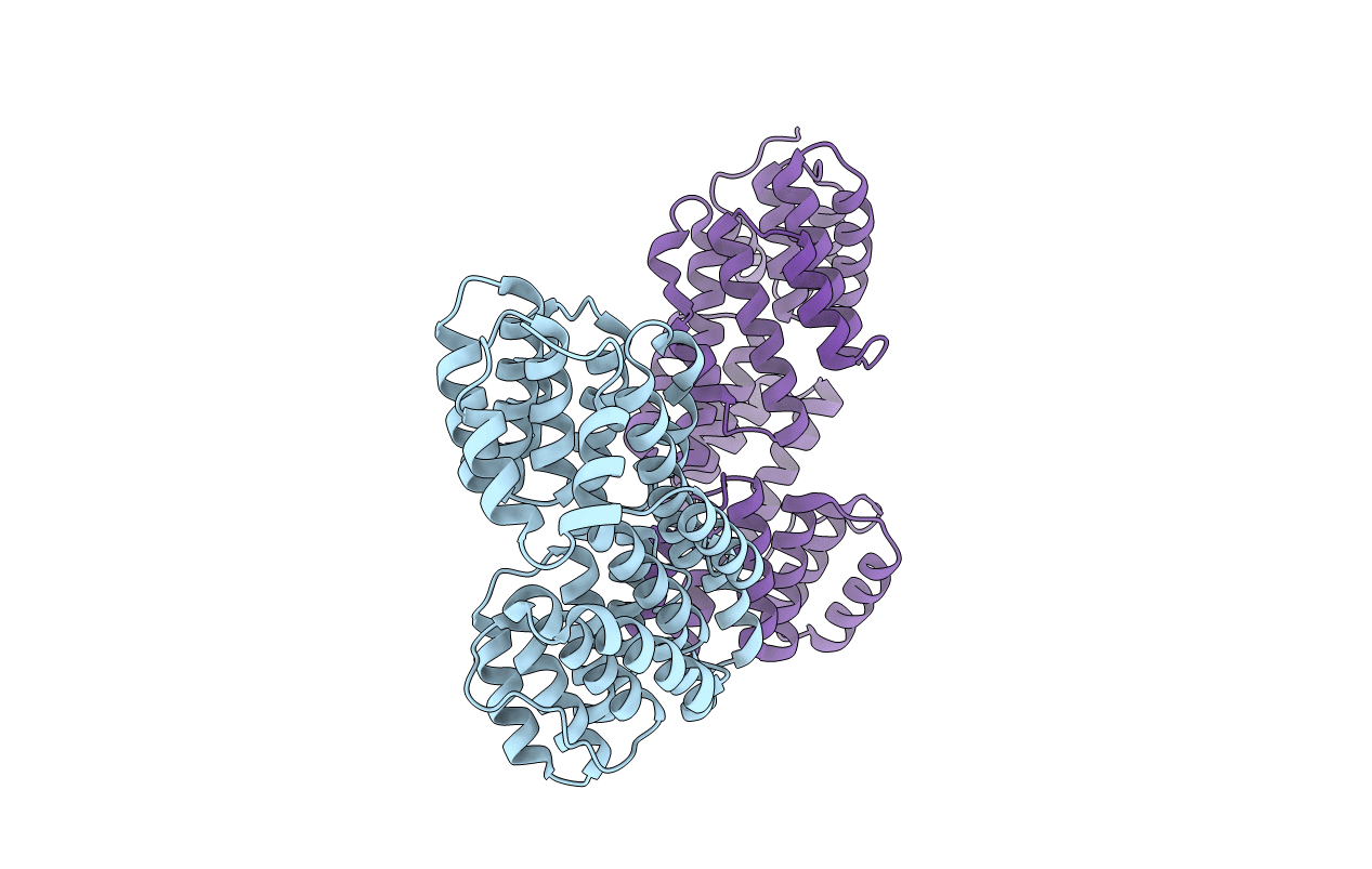 5XYB image