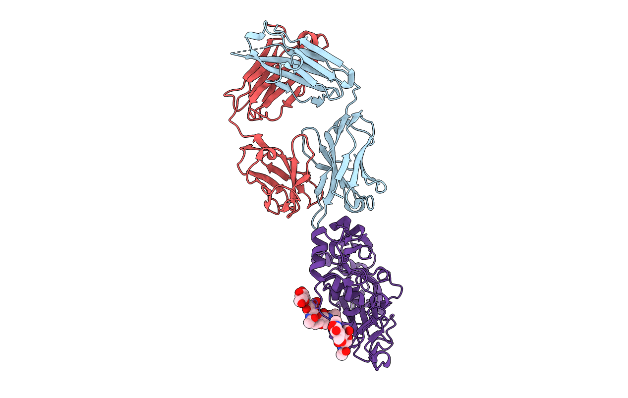 5Y11 image