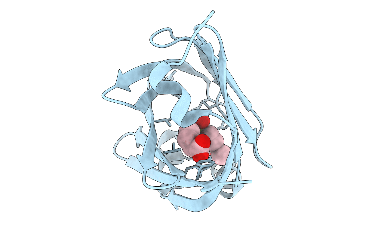 5Y12 image