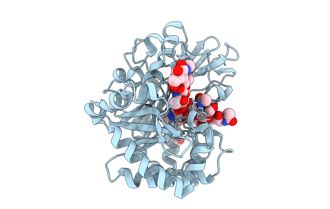 5Y2B image