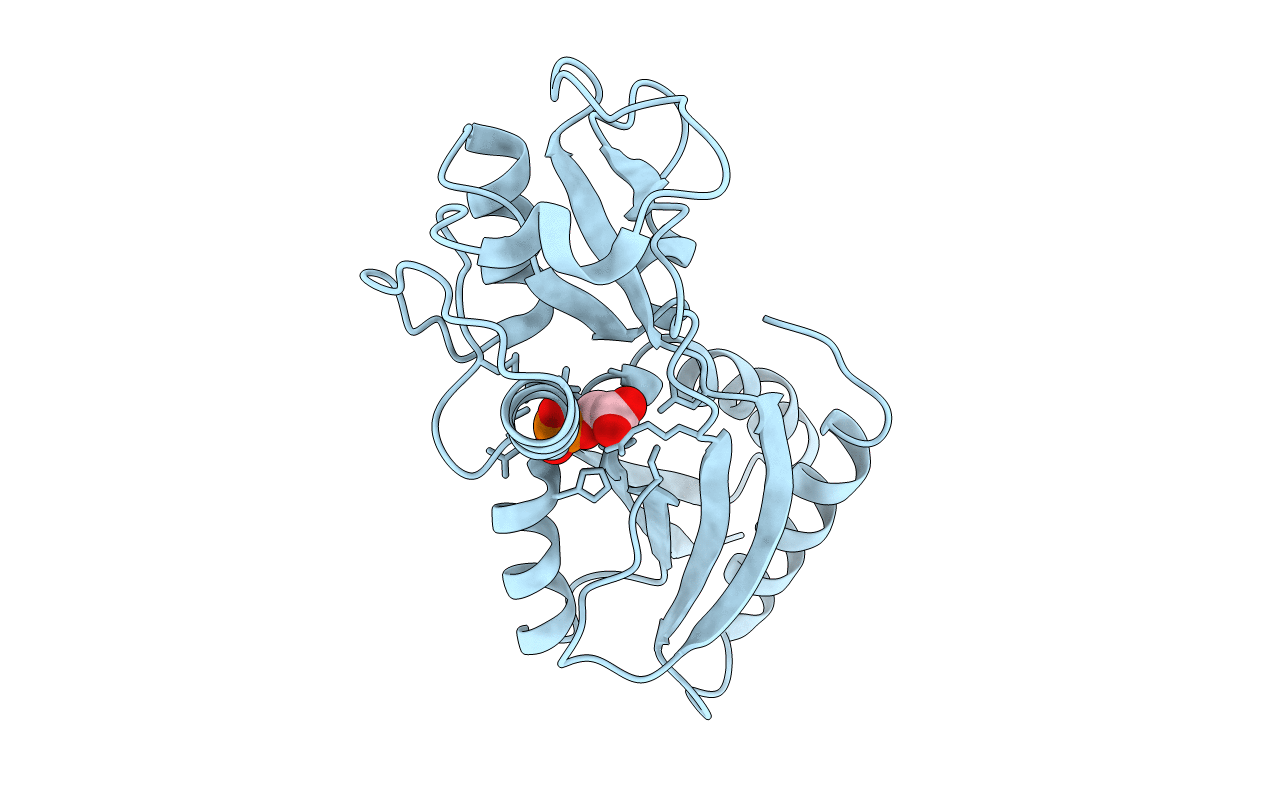 5Y2W image