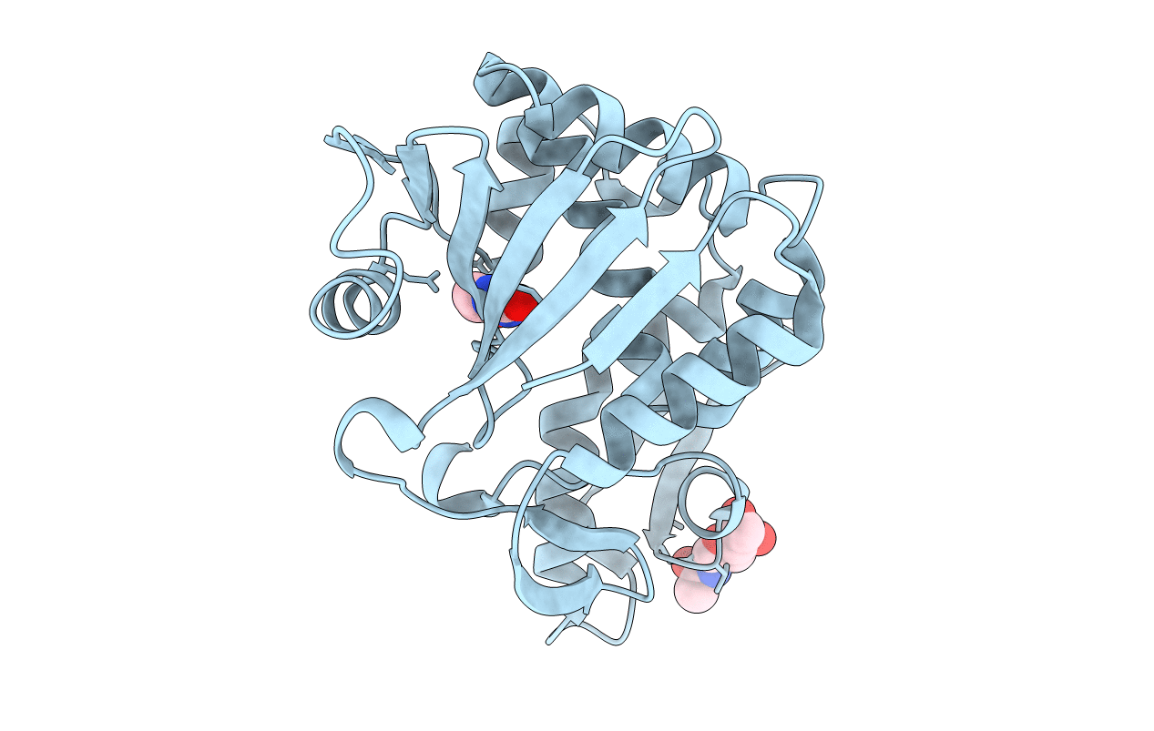 5Y48 image