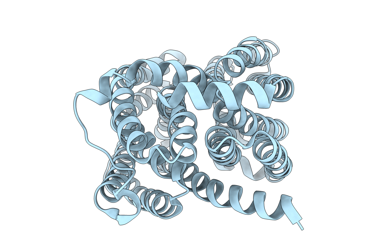 5Y50 image