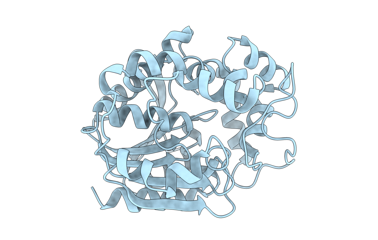 5Y5D image