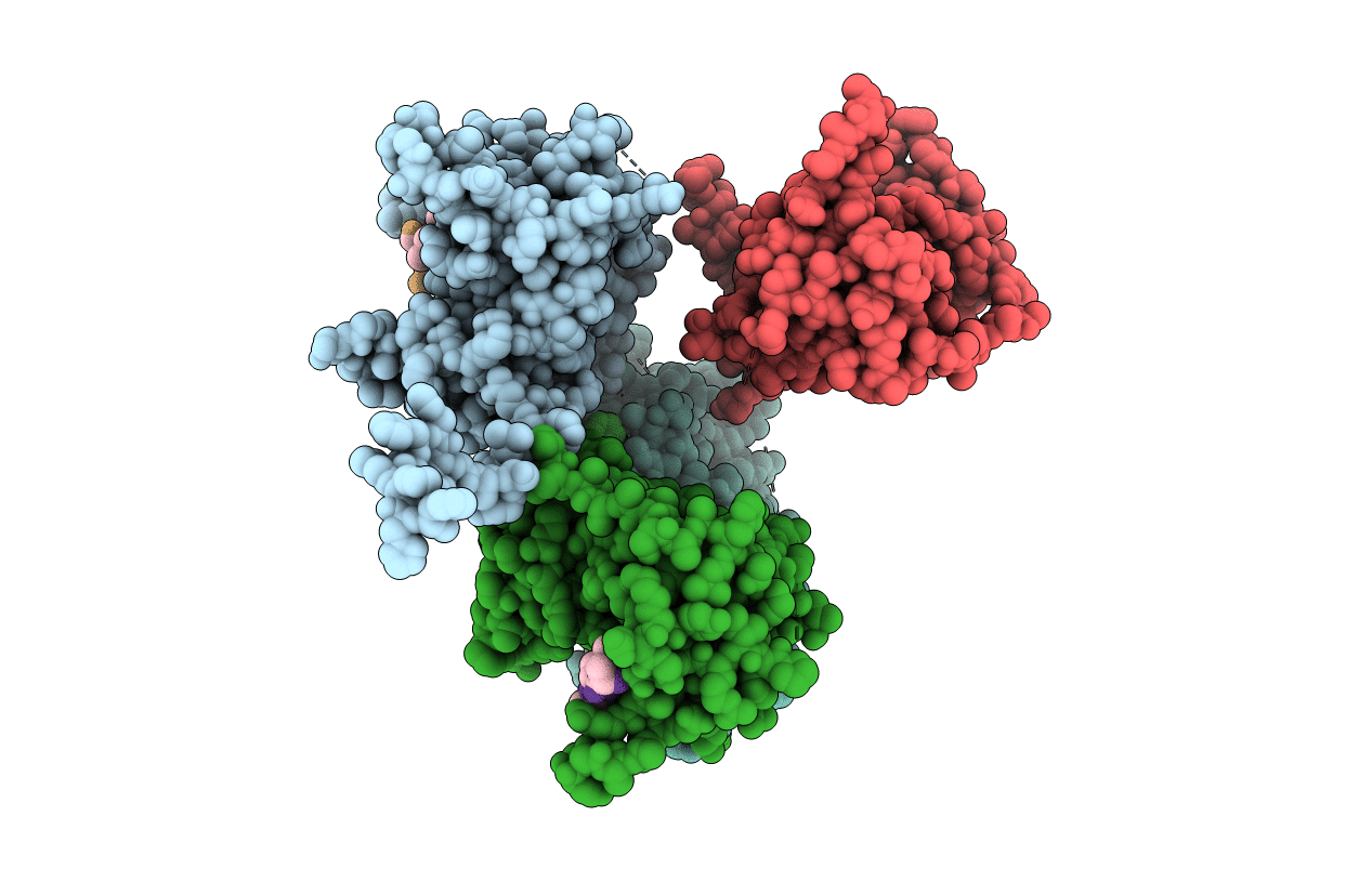 5Y5W image