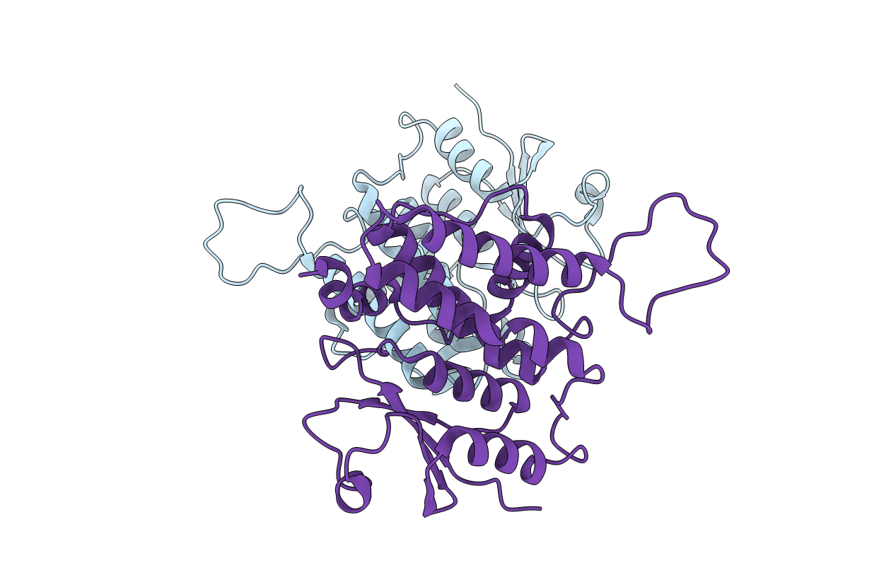 5Y7I image
