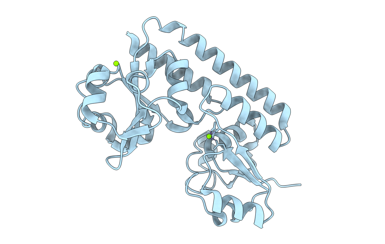 5Y8B image