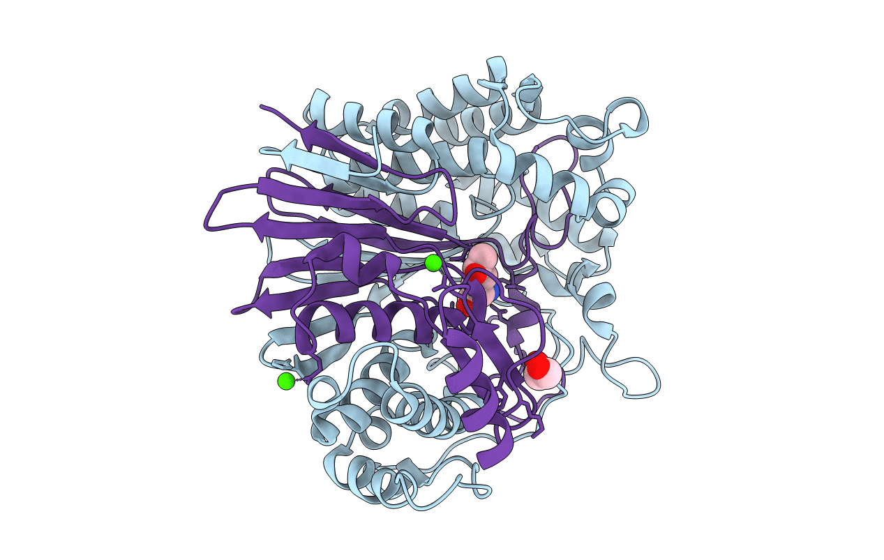 5Y9B image