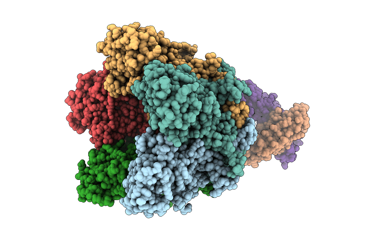 5Y9C image