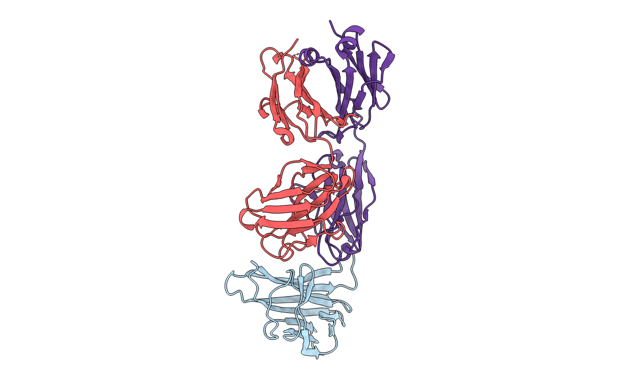 5Y9J image