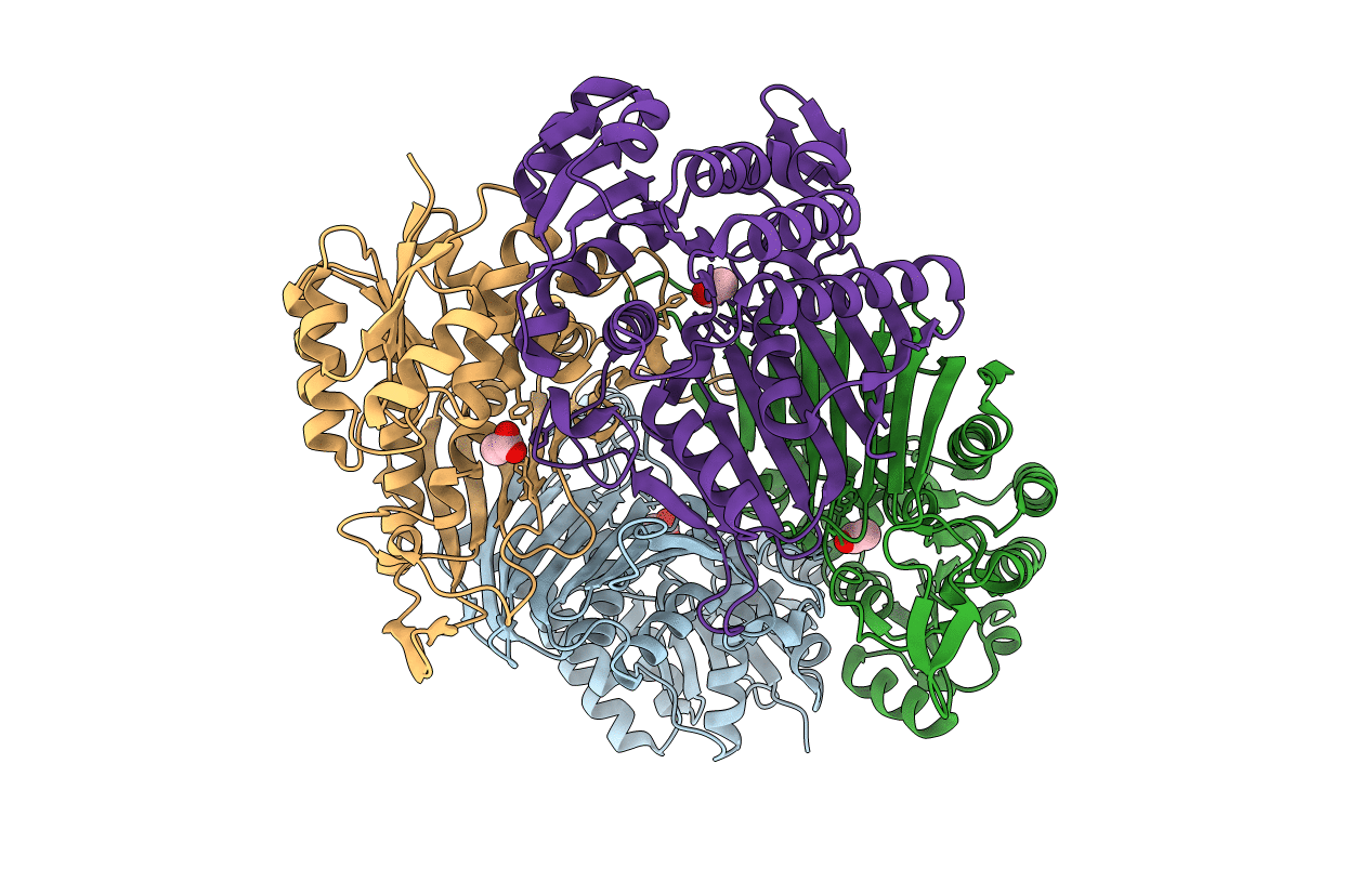 5YAB image