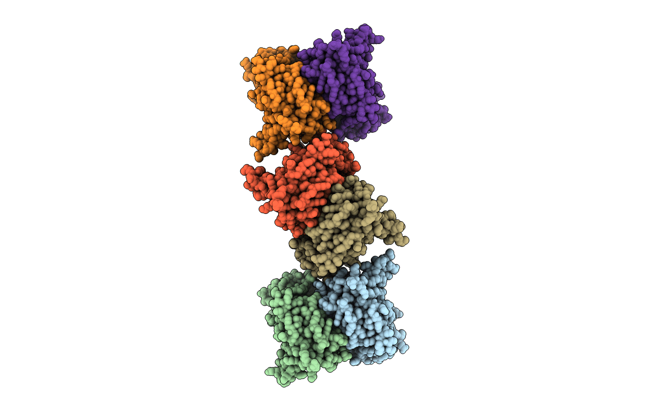 5YBF image