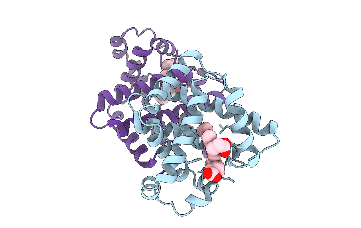 5YCI image