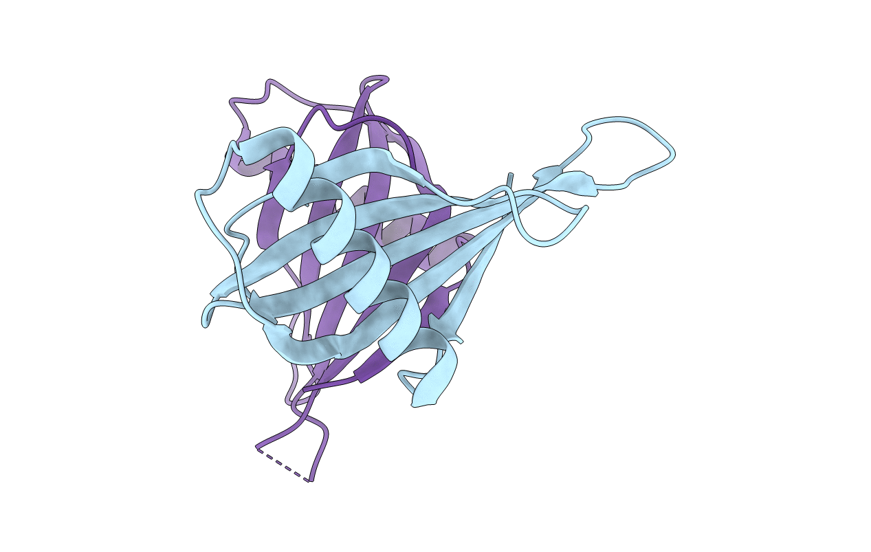 5YCT image